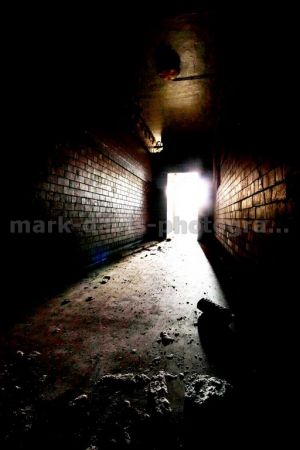 Deva Trapped Light.jpg